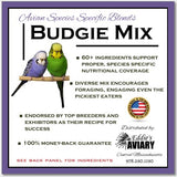 Budgerigar "Budgie" Mix