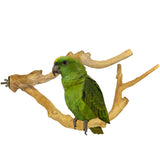 Java Multi Branch Perch