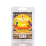 Mango Tangerine Parrot Safe Candle Melts