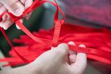 The Aviator Bird Harness