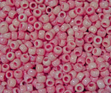 Pony Beads for Bird Toy Making