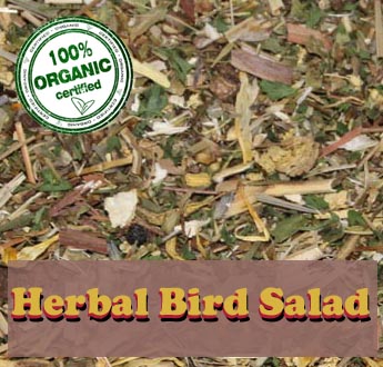 Bird Salad