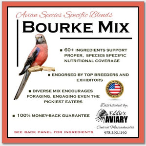 Bourke's Parakeet Mix