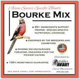 Bourke's Parakeet Mix