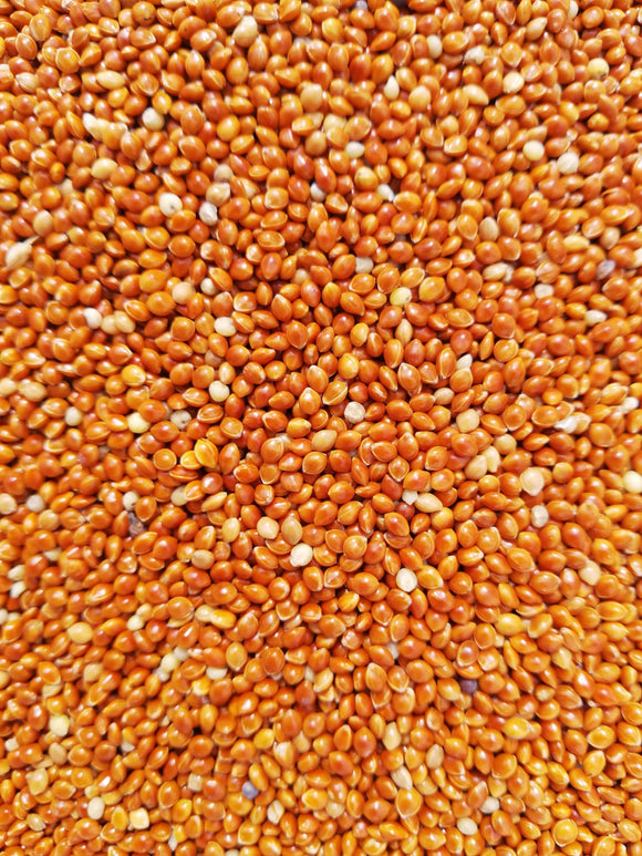 Red Millet – Chirp Central