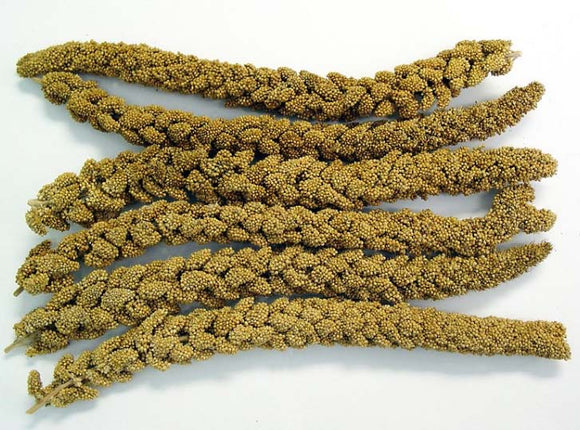 Higgins Spray Millet