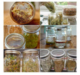Mason Jar Sprout Kit